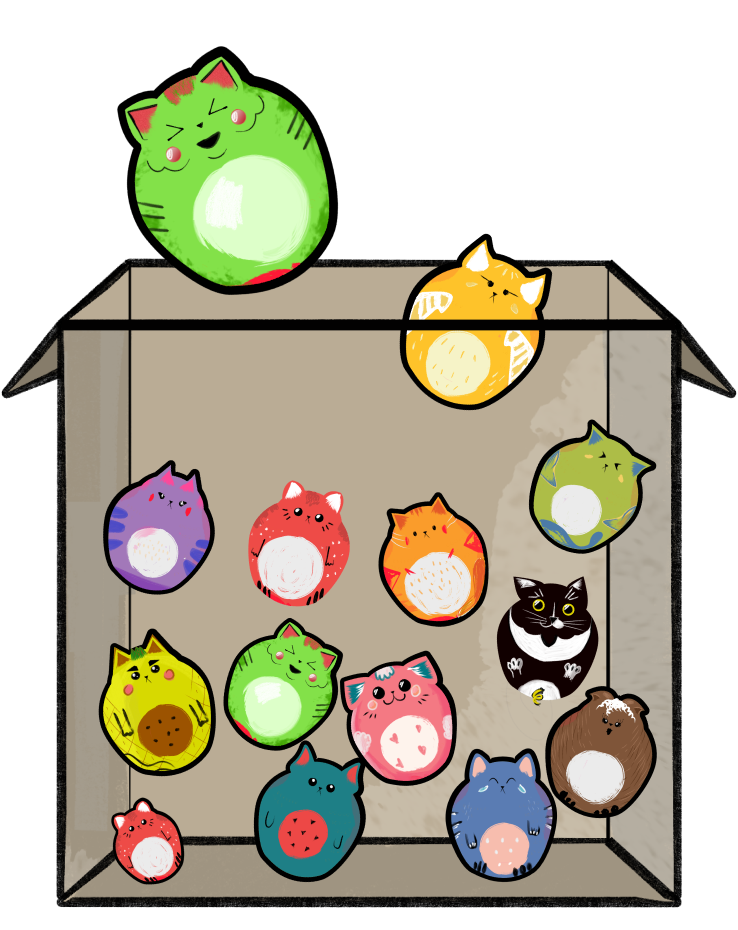 box with cats